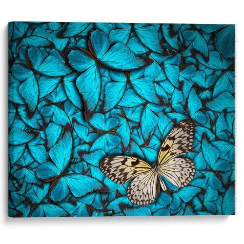 kartyna-Блакитні метелики