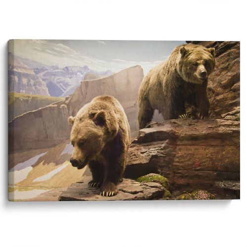 kartyna-Ведмеді грізлі на каменях
