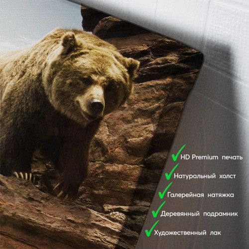 kartina-Медведи гризли на камнях