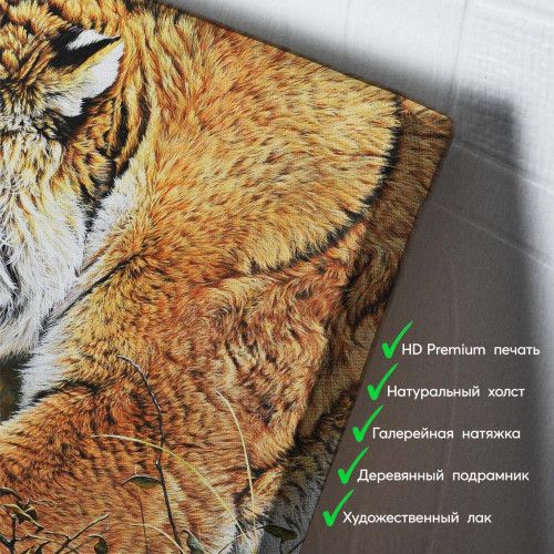 kartyna-Тигр на полюванні