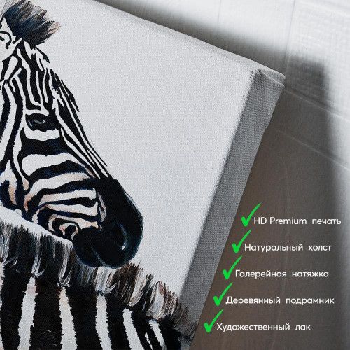kartina-Две зебры на белом фоне