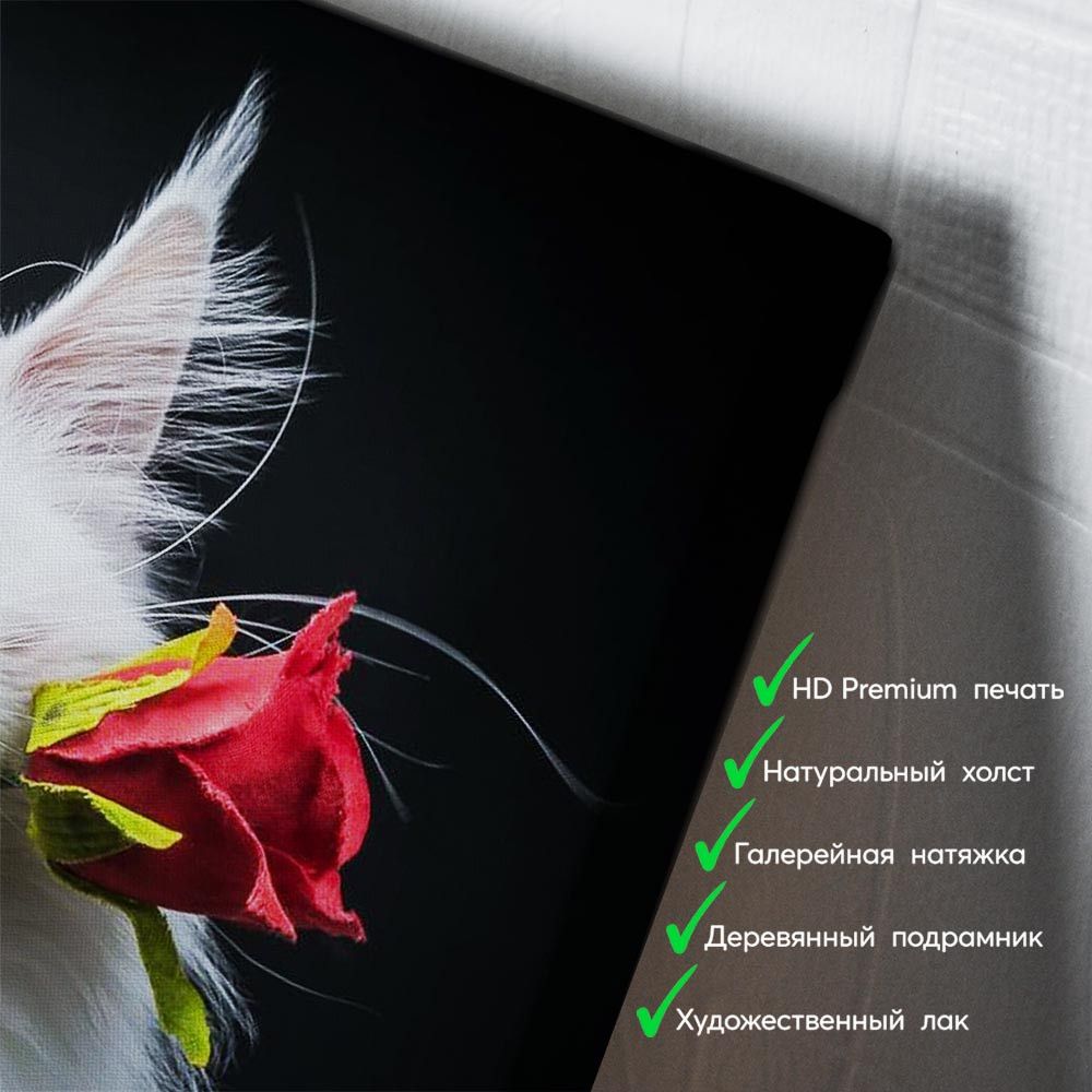 kartina-Белый кот с розой