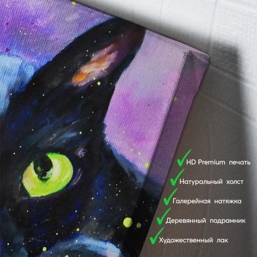 kartina-Черный кот с зелеными глазами