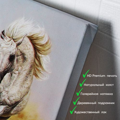kartyna-Двоє коней біжать