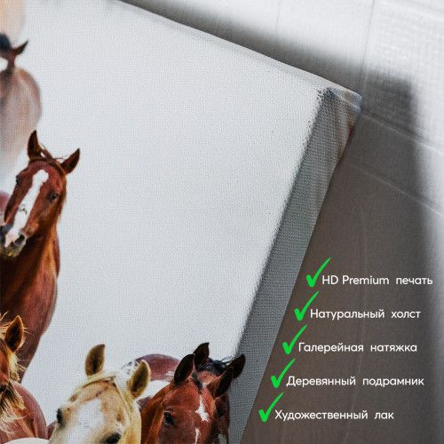 kartyna-Табун коней