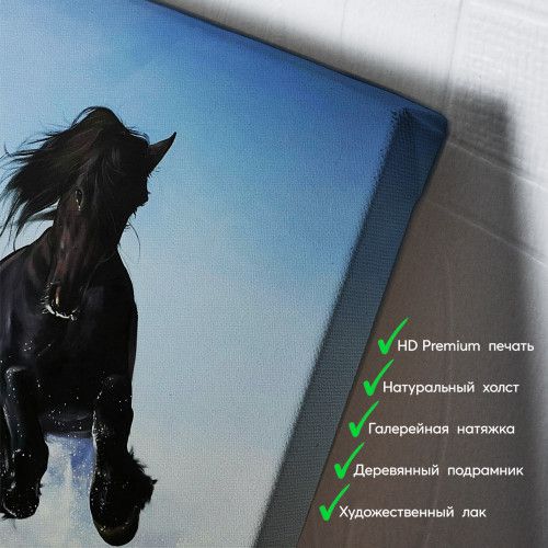 kartyna-Чорний і білий кінь на скаку