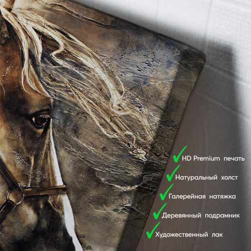 kartyna-Кінь з красивою гривою