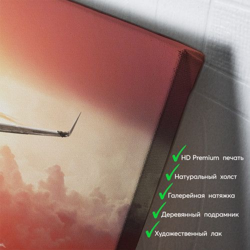 kartyna-Літак в червоних хмарах