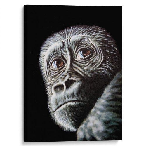 kartina-Портрет обезьяны