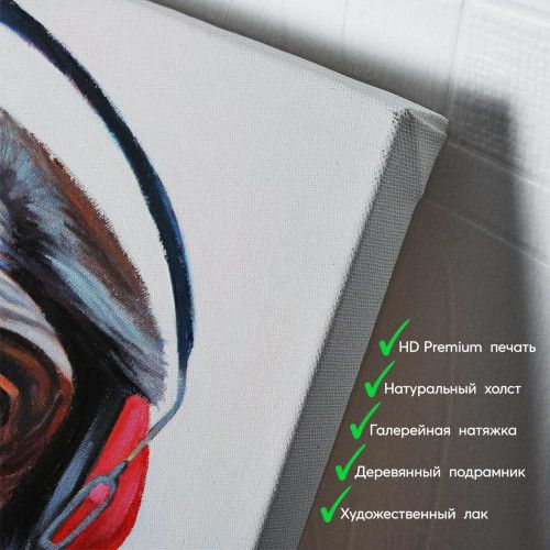 kartyna-Мавпа у червоних навушниках