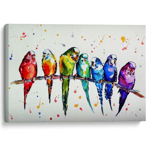 kartina-Попугаи всех цветов радуги