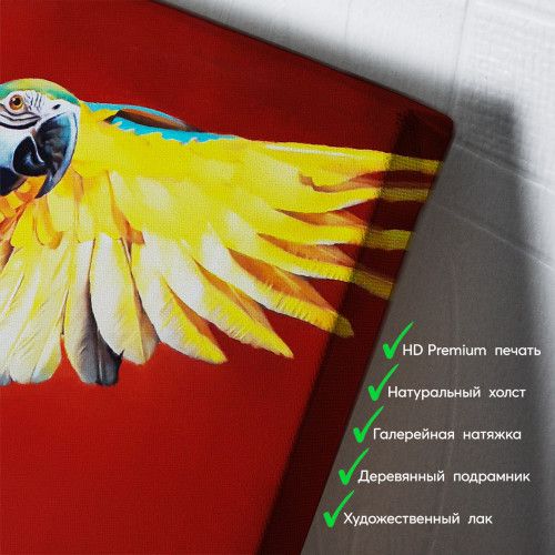 kartyna-Папуга ара у польоті