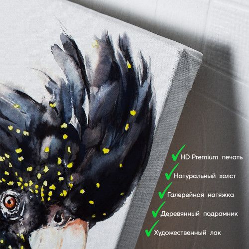 kartina-Портрет черного какаду