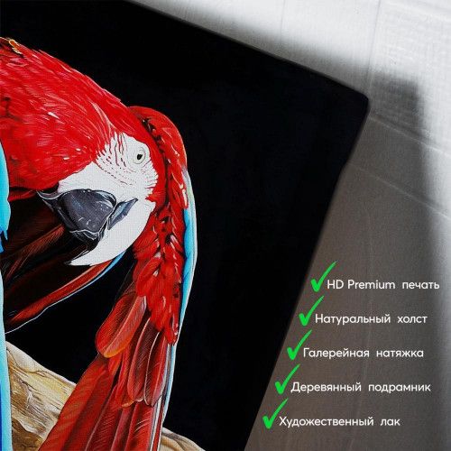 kartyna-Папуга ара на чорному тлі