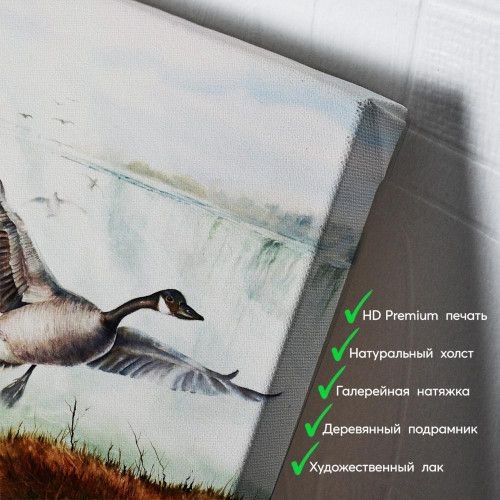 kartina-Гуси над водопадом