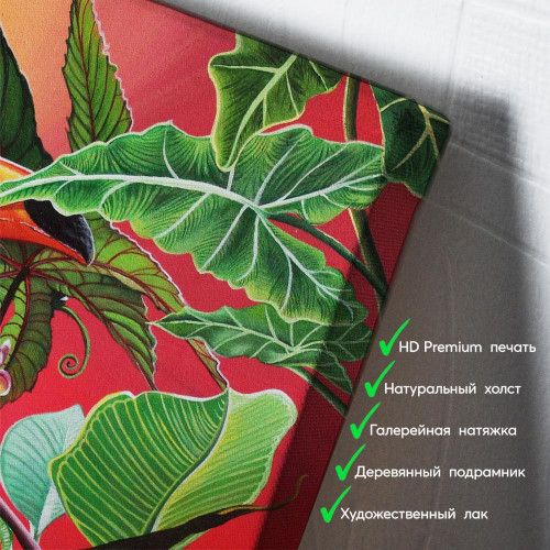 kartyna-Тукан у тропіках