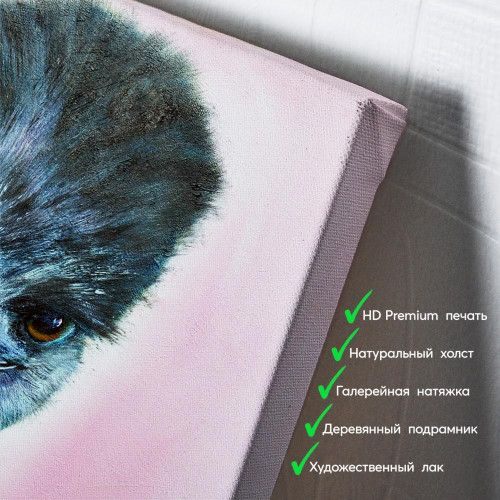 kartina-Страус эму