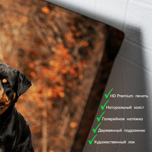 kartyna-Ротвейлер в осінньому лісі