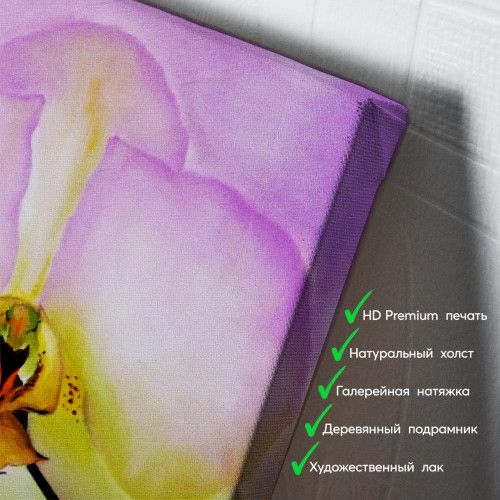 kartyna-Чудова рожева орхідея