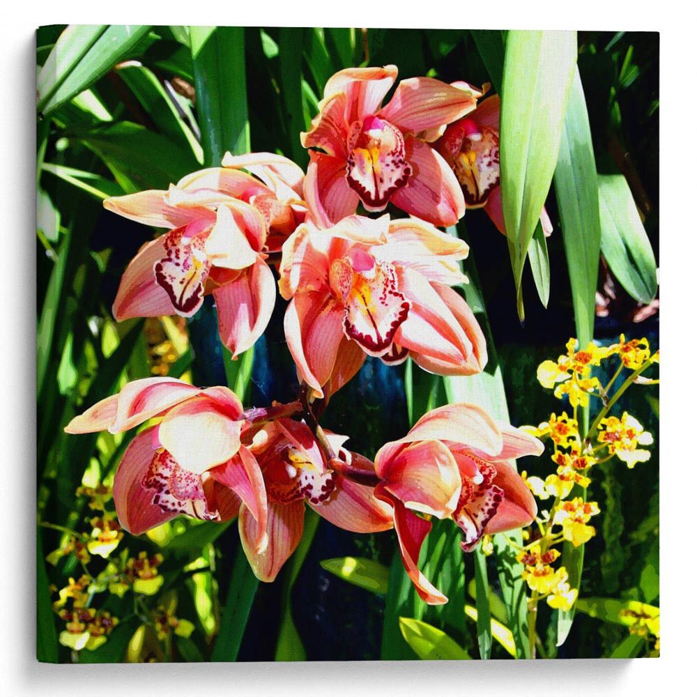 kartyna-Орхідея у густих джунглях