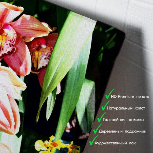 kartina-Орхидея в густых джунглях