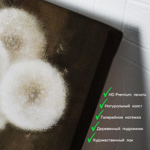 kartina-Пушистые одуванчики