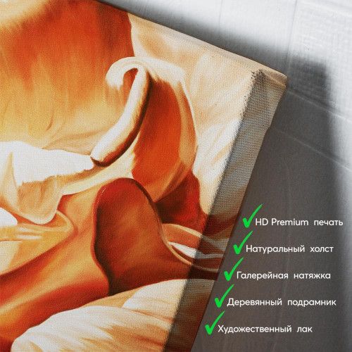 kartina-Роскошная роза