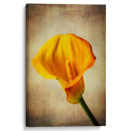 kartyna-Жовта квітка