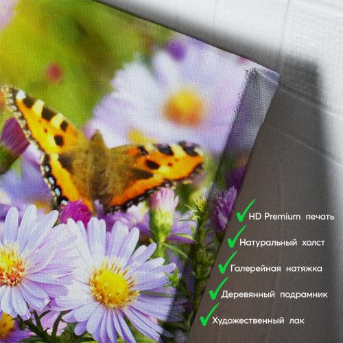 kartina-Цветы с бабочками
