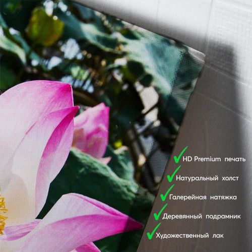 kartyna-Квітка лотоса