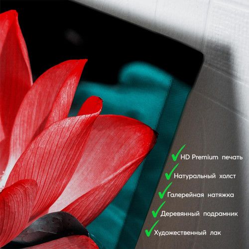 kartina-Алый лотос