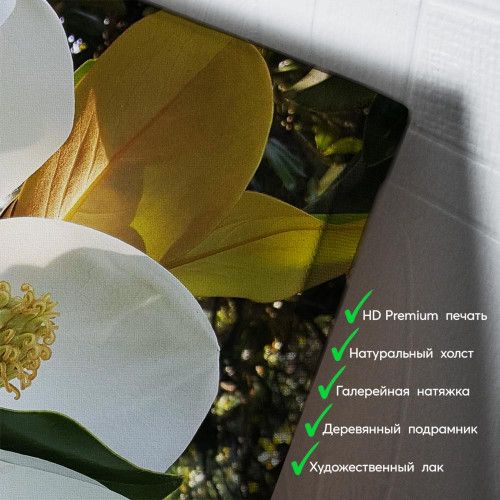 kartyna-Гарна квітка