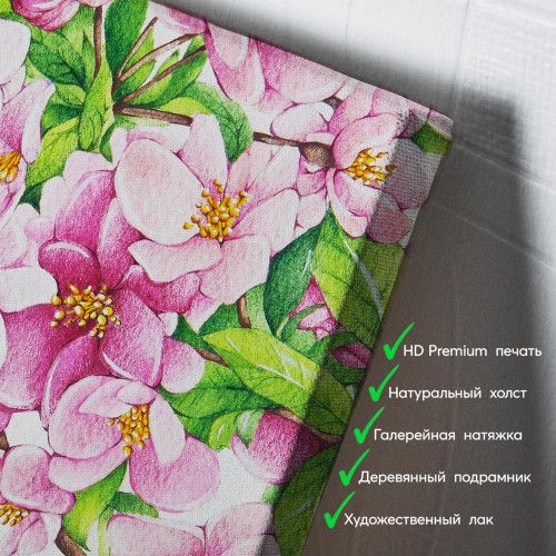 kartyna-Квіти вишні на білому тлі