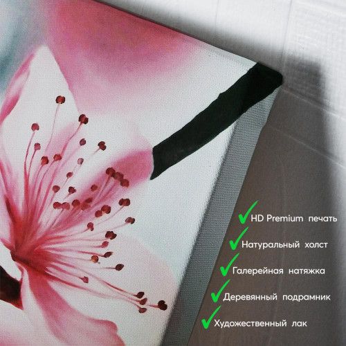 kartyna-Квіти сакури розпустилися