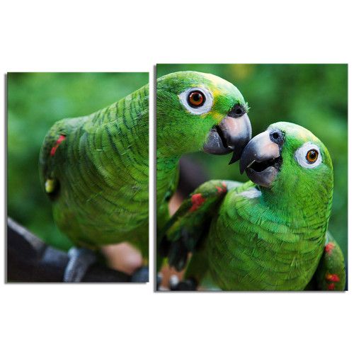 modulnaya-kartina-Два зеленых попугая