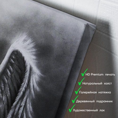 kartina-Черно-белый ангел