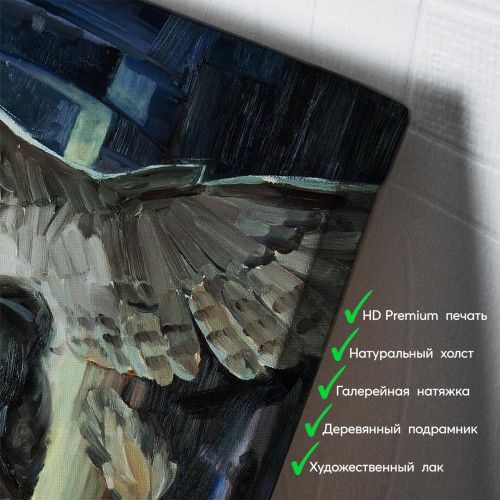 kartina-Воительница света