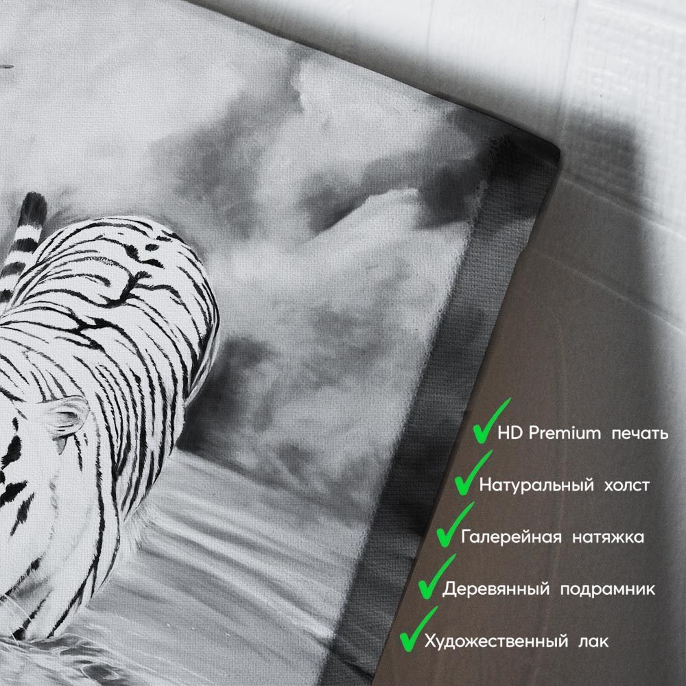 kartina-Белый тигр в воде