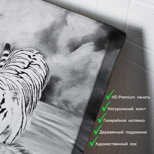 kartina-Белый тигр в воде
