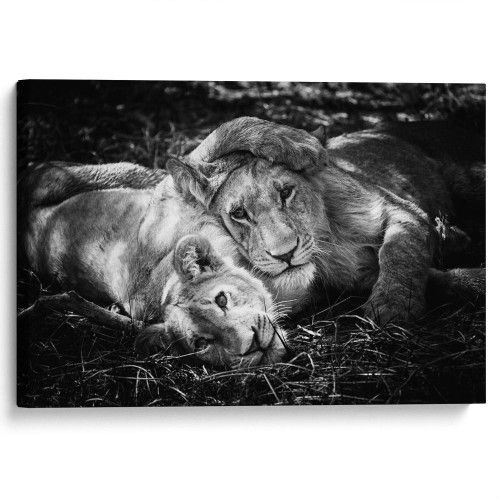 kartyna-Лев і левиця