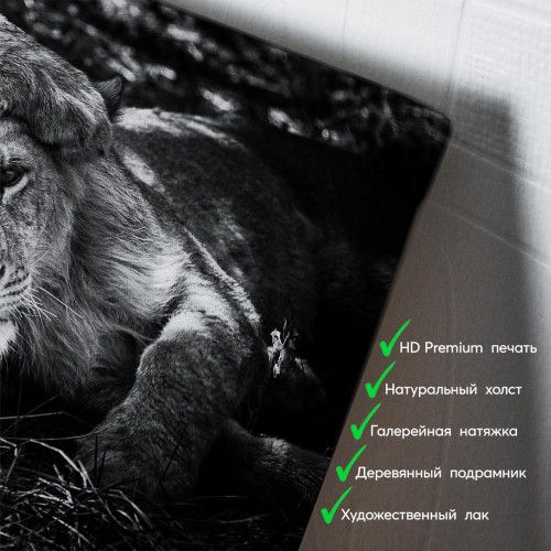 kartyna-Лев і левиця