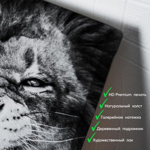 kartina-Разъяренный лев