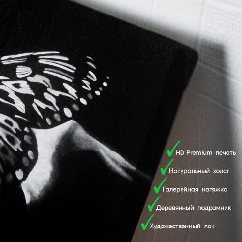kartyna-Метелик на долоні