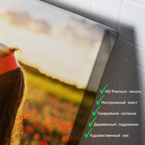 kartyna-Дівчина у вишиванці на заході сонця
