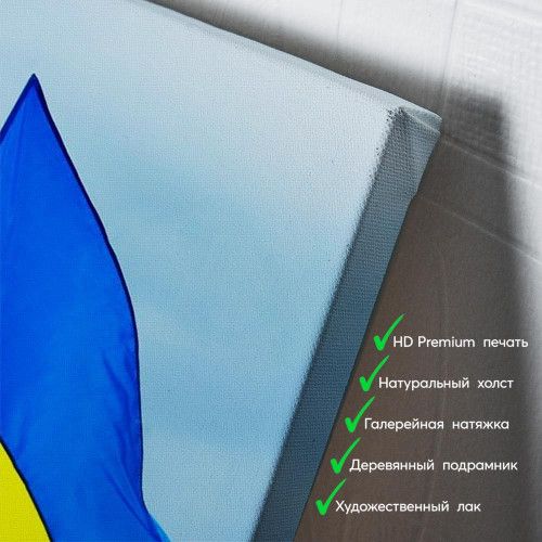 kartyna-Хлопчик з прапором