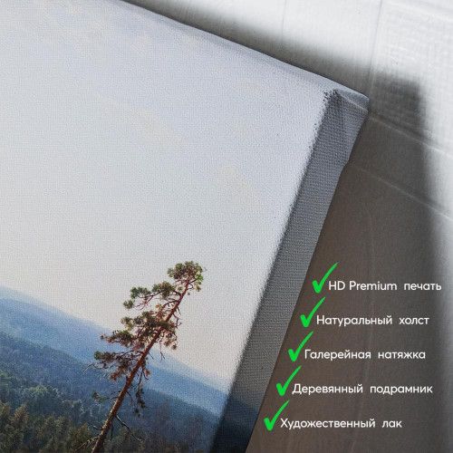 kartina-Иван Шишкин Лесные дали
