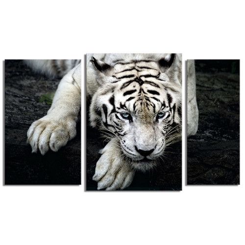 modulna-kartina-Білий тигр на чорному