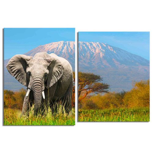 modulnaya-kartina-Слон и Килиманджаро