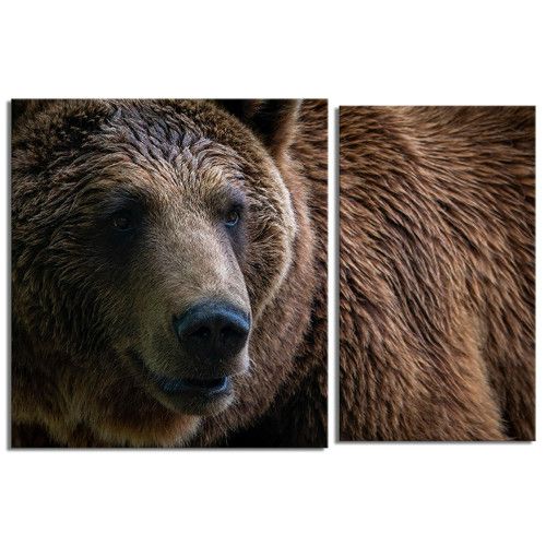 modulnaya-kartina-Медведь