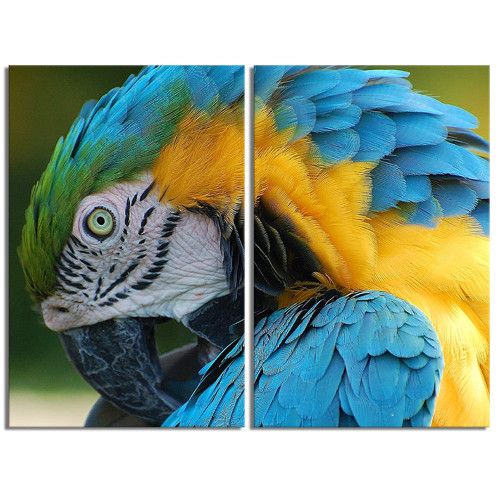 modulnaya-kartina-Желто-голубой попугай